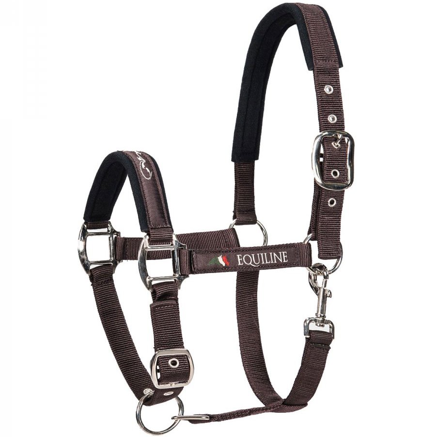 EQUILINE GRIMMA TIMMY - 2