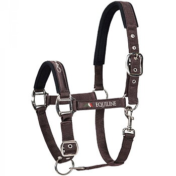 EQUILINE GRIMMA TIMMY
