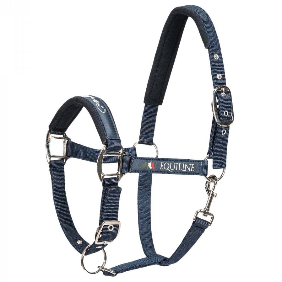 EQUILINE GRIMMA TIMMY