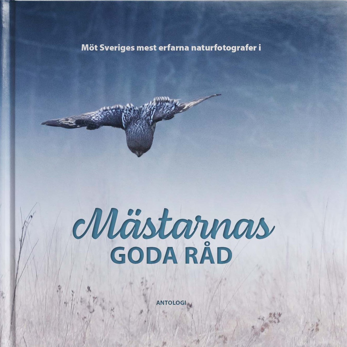 Mästarnas goda råd