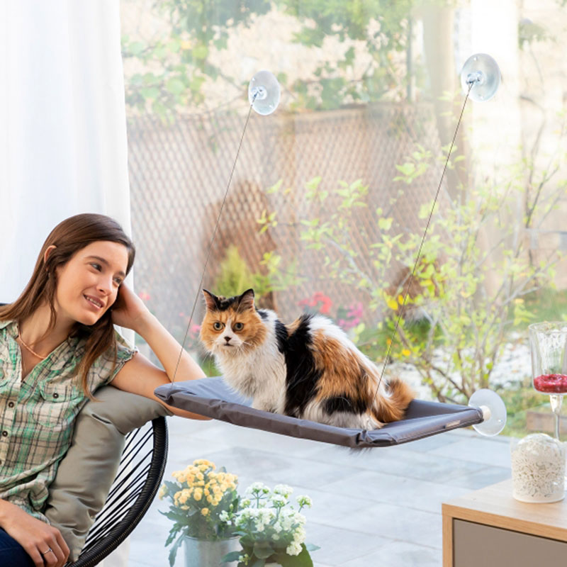 Katthängmatta monterad på fönster med katt och matte
