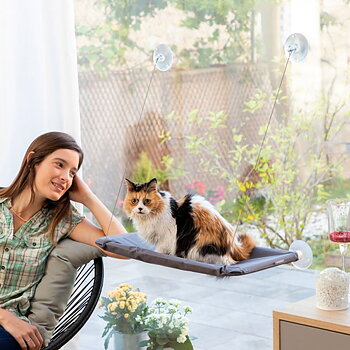 Katthängmatta monterad på fönster med katt och matte