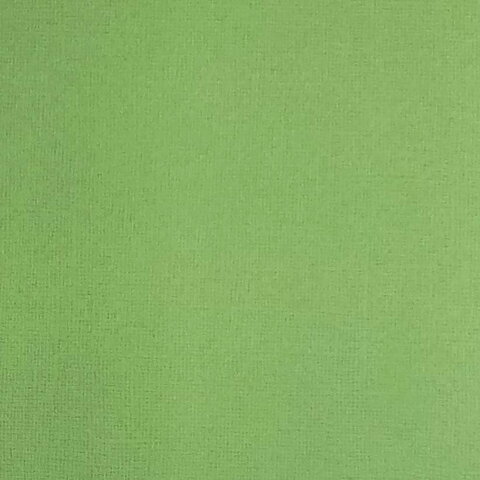 Cardstock Grass Green