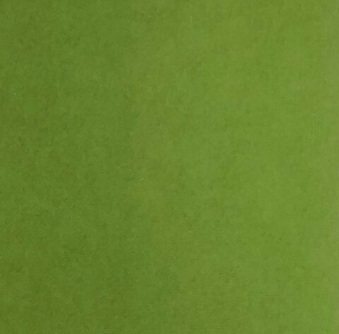 Cardstock Moss