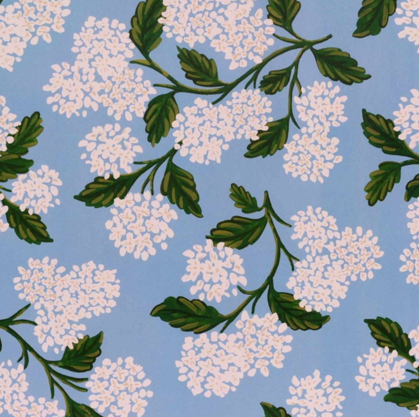 Hydrangea