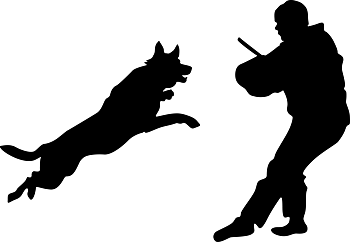 IGP schäfer - tryck 83