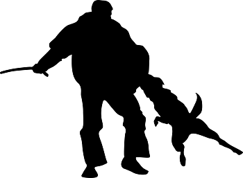 IGP - tryck 84