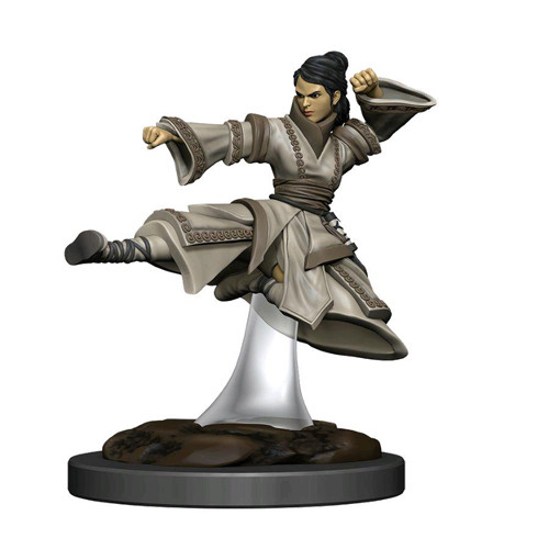D&D Premium Painted Figure: Female Human Monk