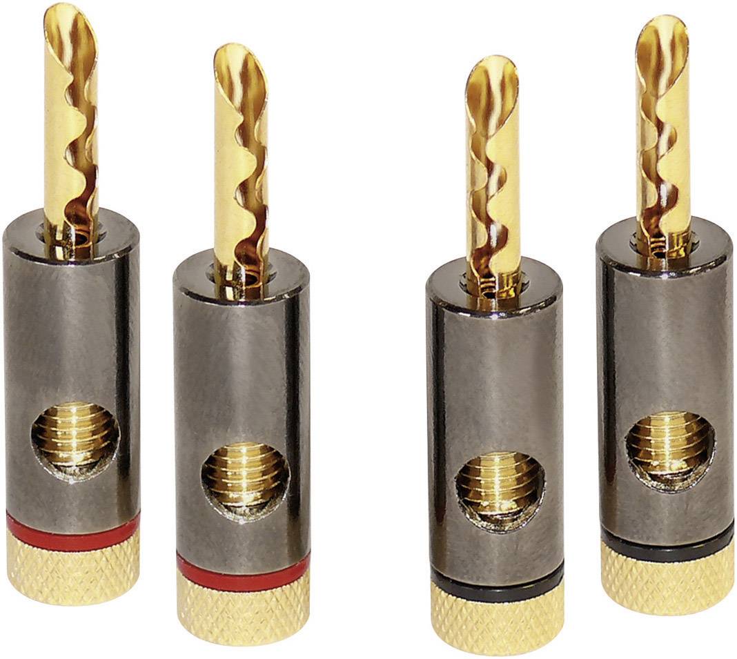 Dynavox Banankontakt 4-pack