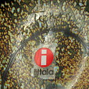 Oiva Toikka (2001) Spotted Crake (Luhtahuitti) Glass Bird 16/8 cm