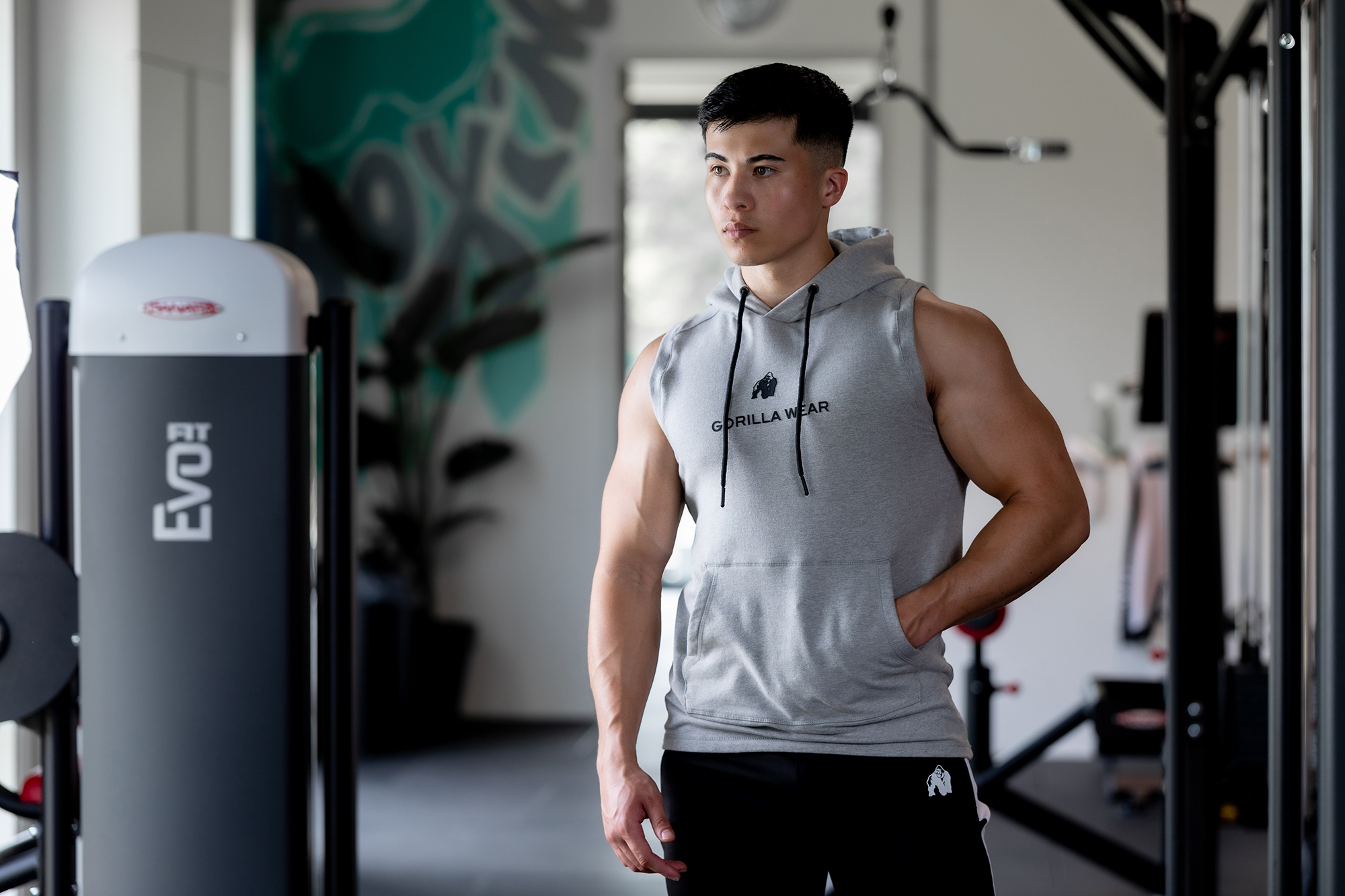 Lincoln Sleeveless Hoodie, grey - 13
