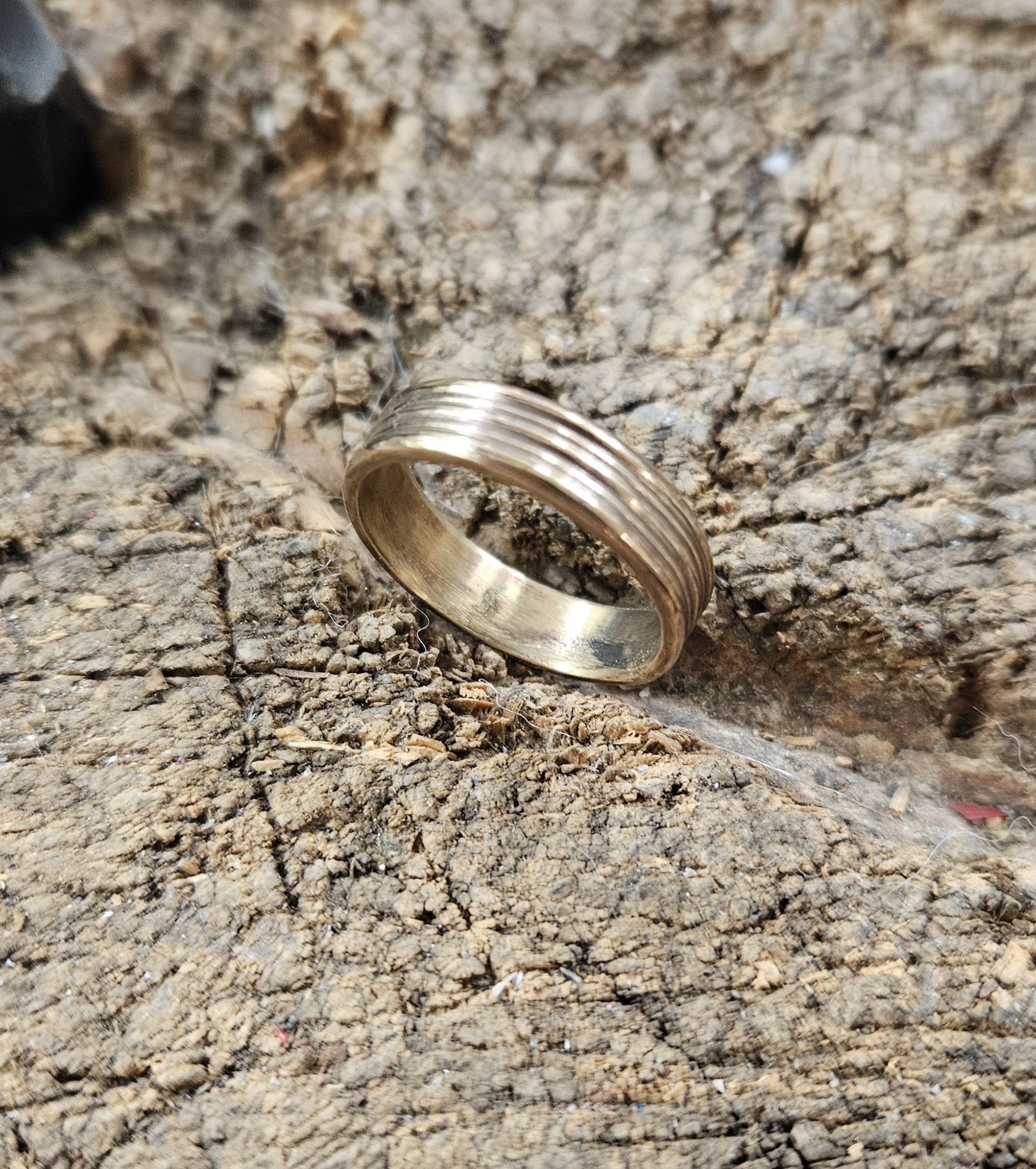 Ringen från Tanum - 3