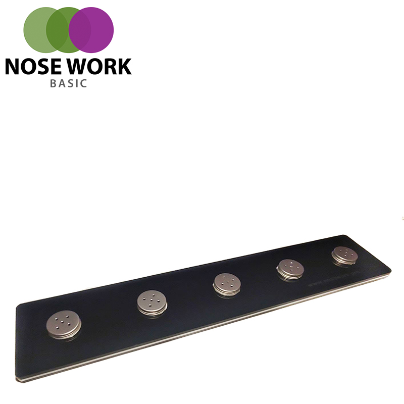 Nose Work Sökplattform Basic