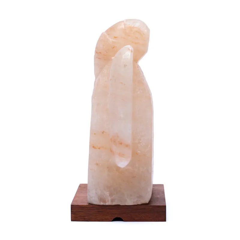 Salt Lamp Angel With Cable And Led - 3