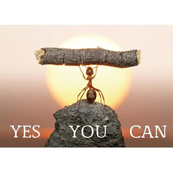 Vykort - "YES YOU CAN"