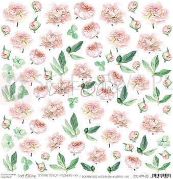  CoC KP-CO - Flowers 20