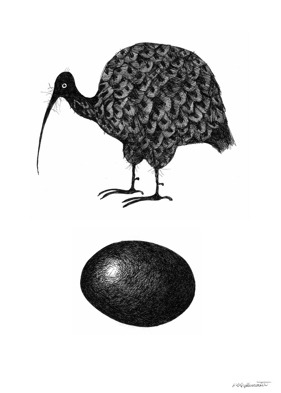 Konsttryck Kiwifågel