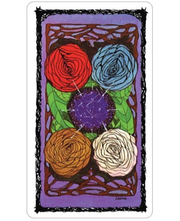 The Sacred Rose Tarot - Engelska - 4