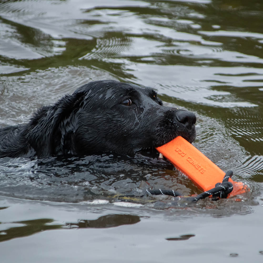 Dummy hundleksak av naturgummi som flyter