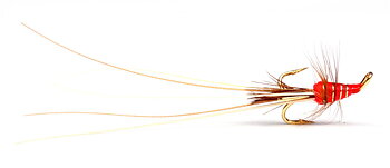 Red Frances Golden - Treble #8