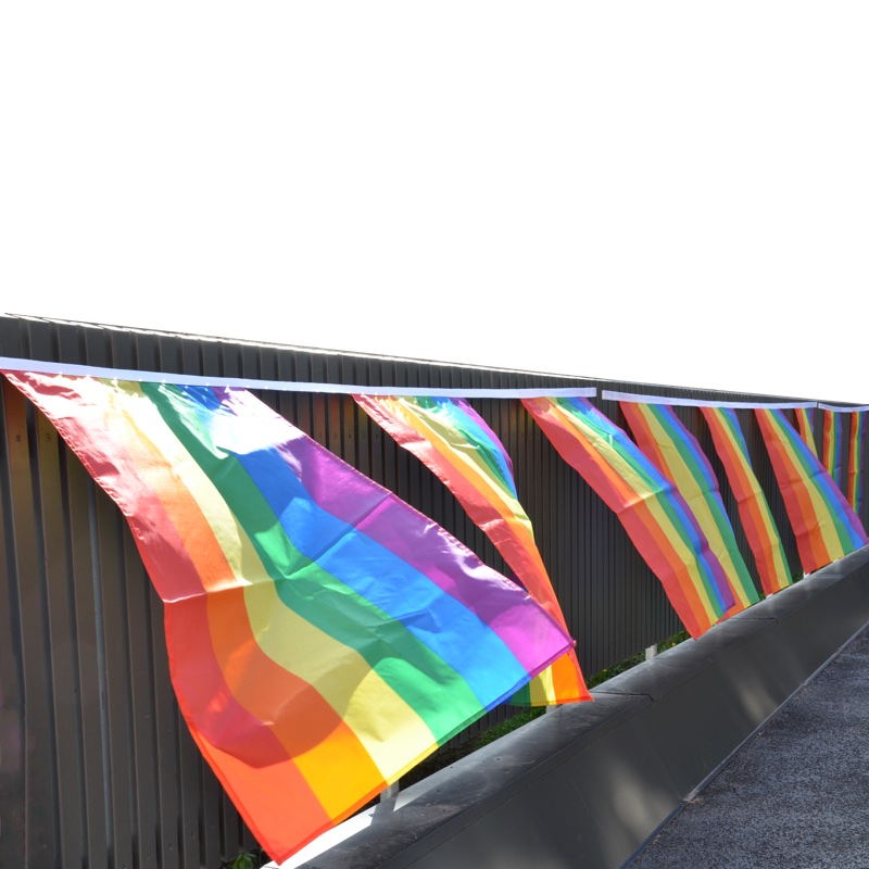 Pride flag bunting large 60x90cm (10M) - 4