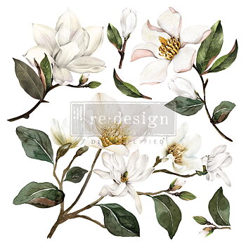 Transfer Magnolia Garden 