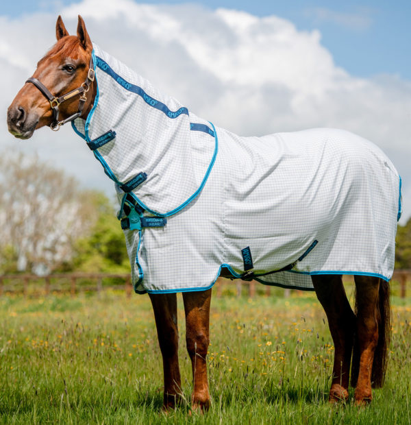 Horseware AMIGO AUSSIE Allround med discfront  - 5