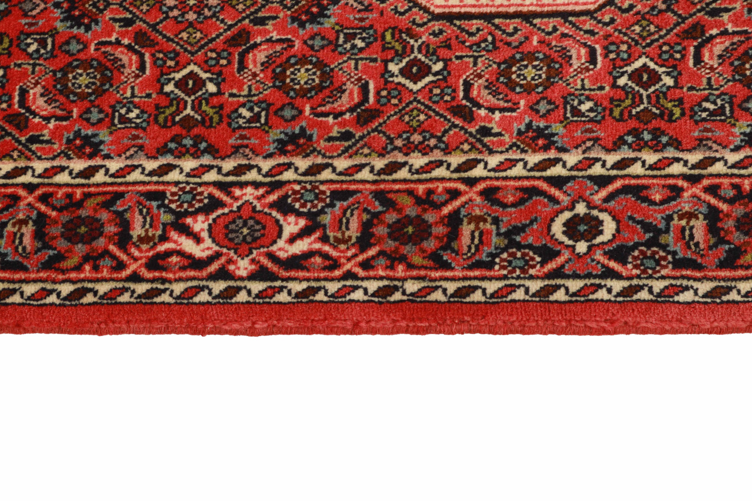 Bidjar Zandjan 76x248cm - 3
