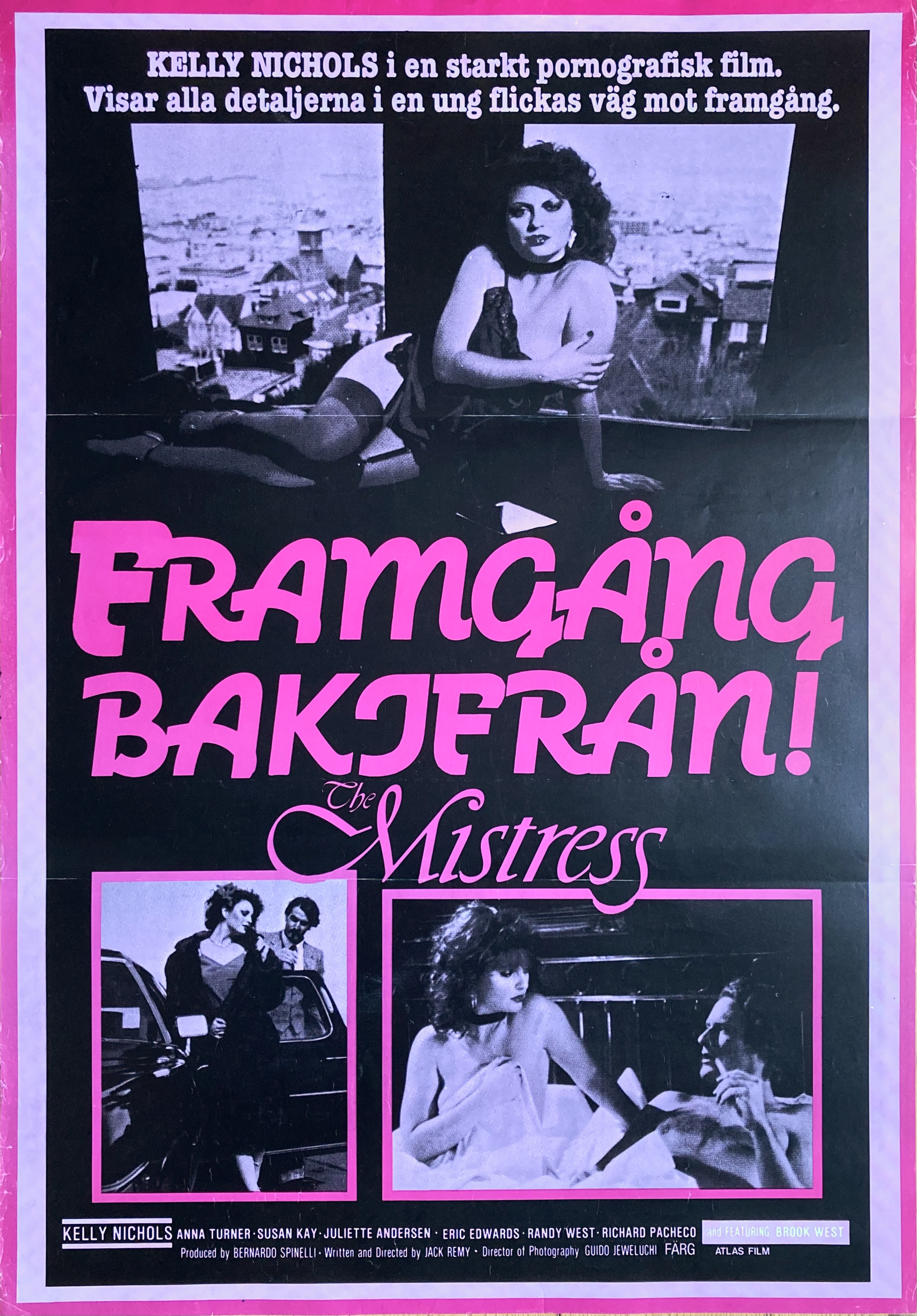THE MISTRESS (1981)