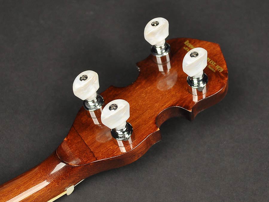Richwood Master Series tenor banjo 4-string - 5