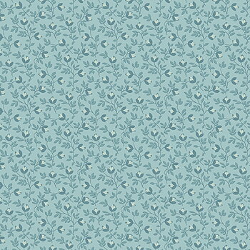 Blue Bird Blue Range