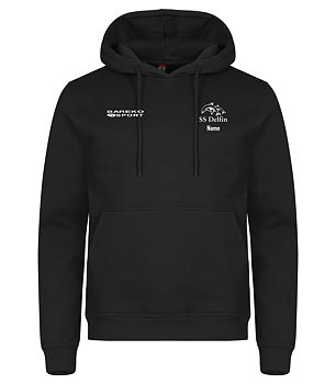 Hood SS Delfin