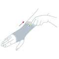 Actimove Polssteun - 3