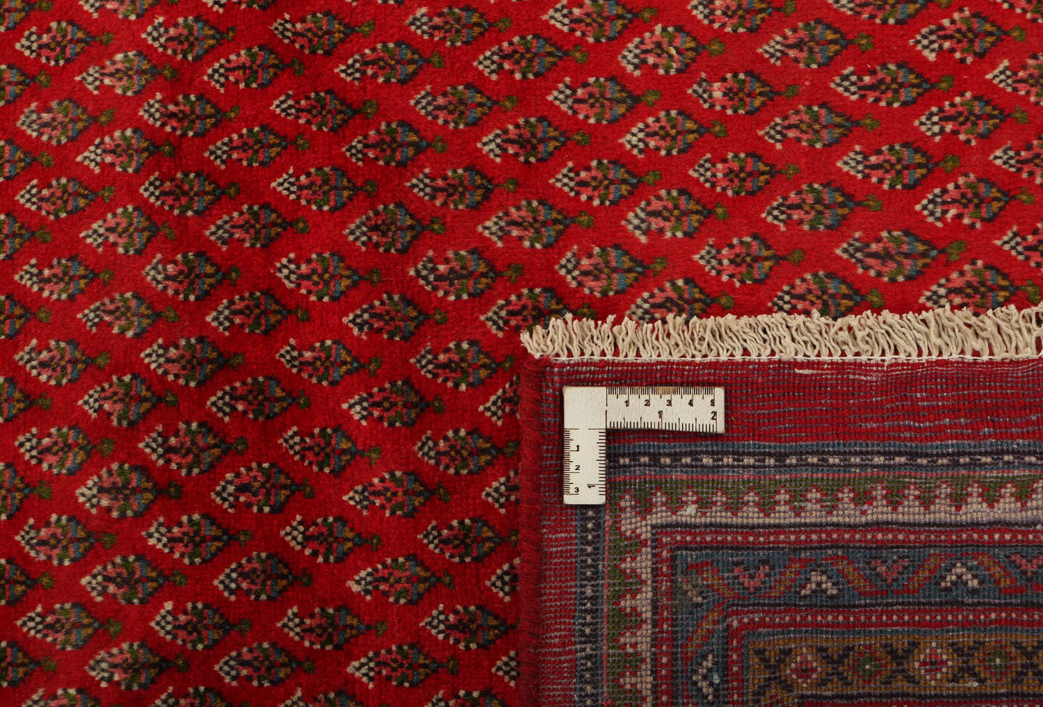 Sarouk Mir 258x355cm - 8