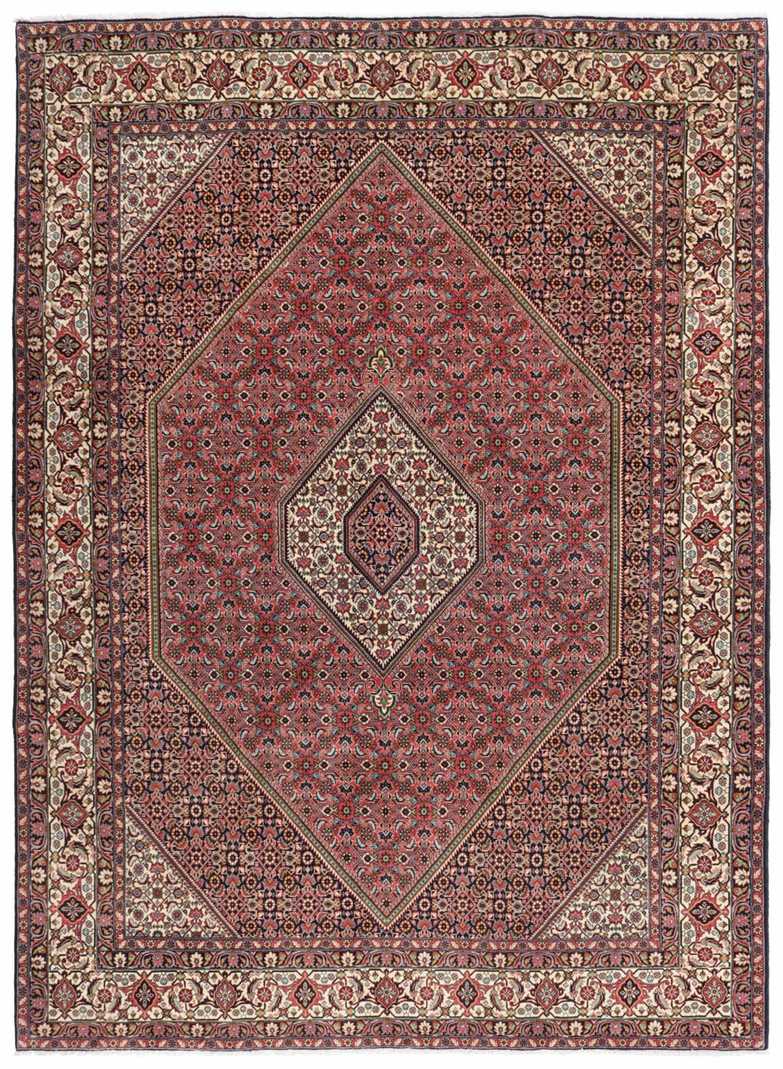 Bidjar Zandjan 252x347cm