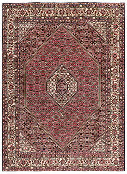 Bidjar Zandjan 252x347cm