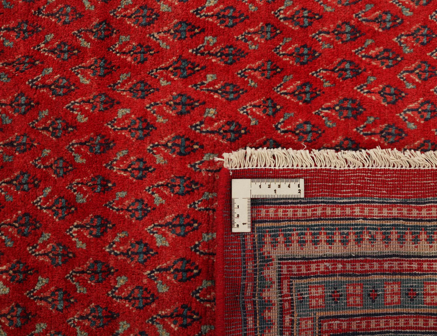 Sarouk Mir 289x405cm - 4
