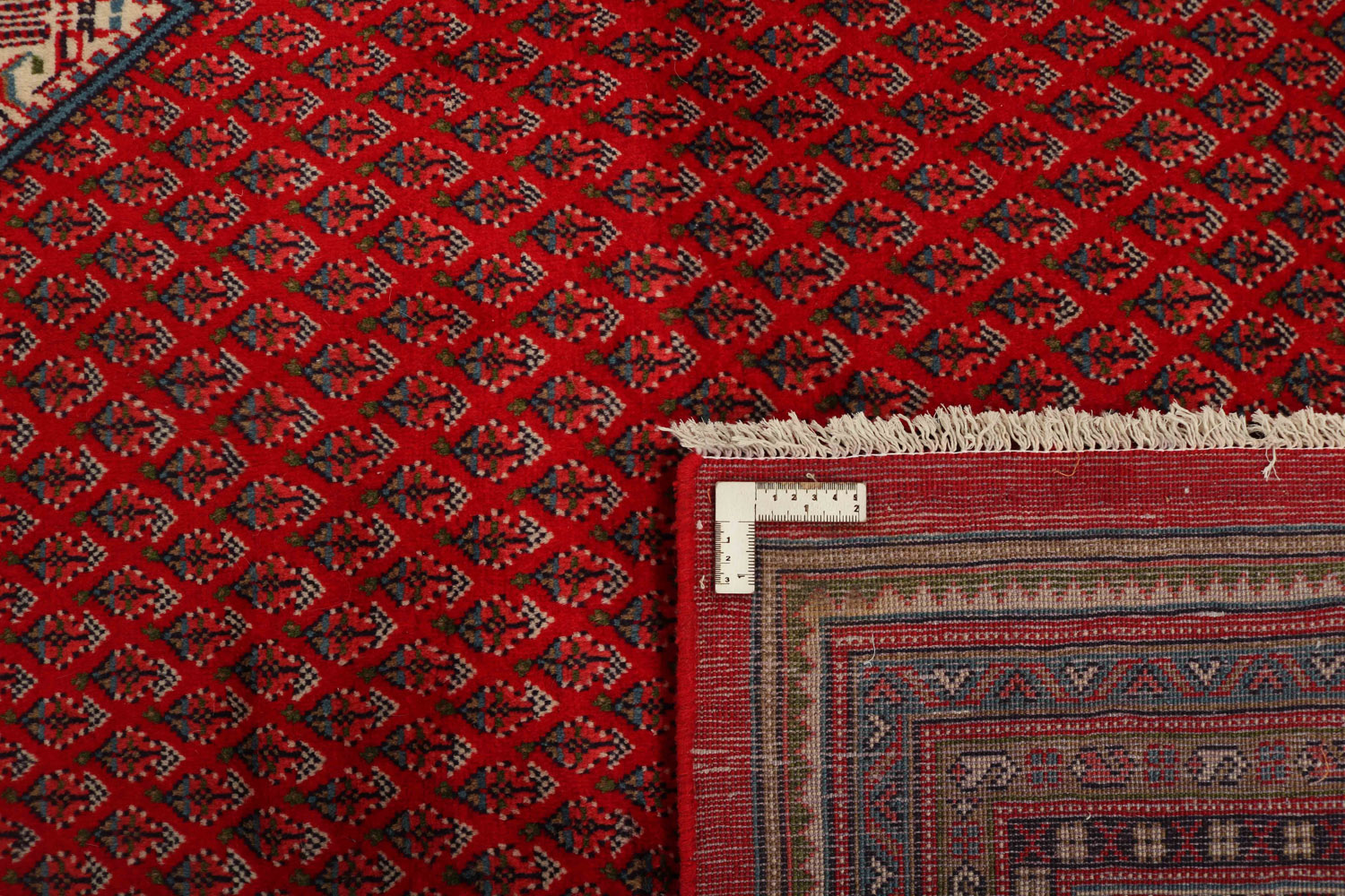 Sarouk Mir 293x400cm - 4