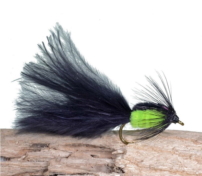 A.Jensen Lure & Attractor Series 1