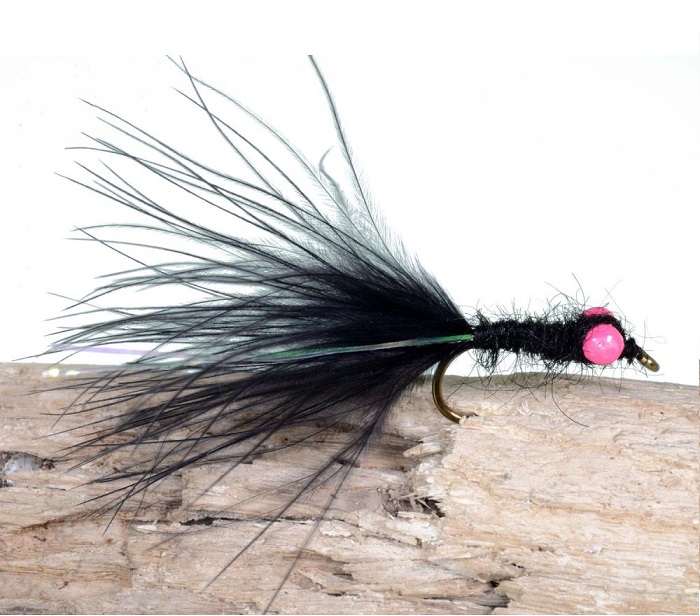 A.Jensen Lure & Attractor Series 3 - 21