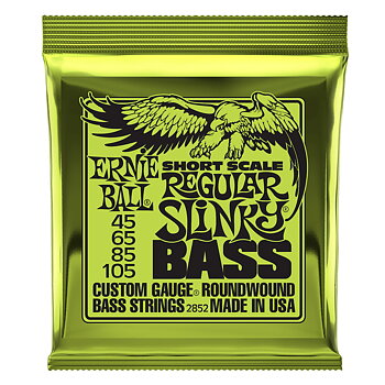 Ernie Ball EB-2852 Regular Slinky Bass 045-105 (Short Scale)