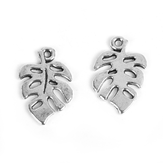 Charm   Leaf monstera  Silver