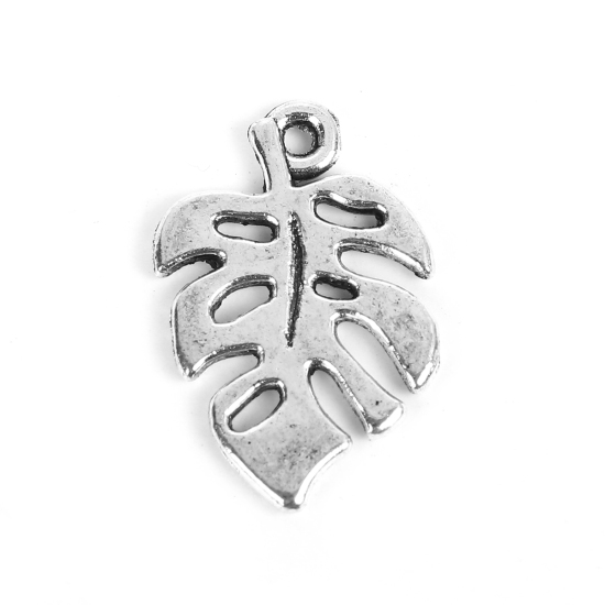 Charm   Leaf monstera  Silver - 2