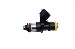 Bosch 2200cc - EV14