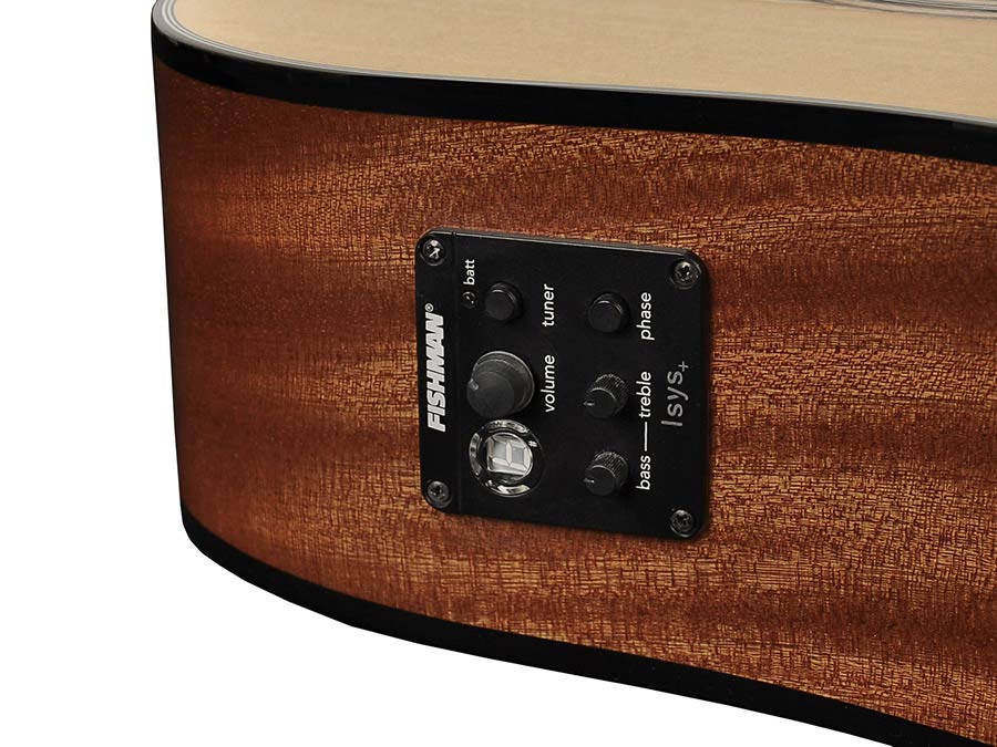Richwood D-40CE - 3