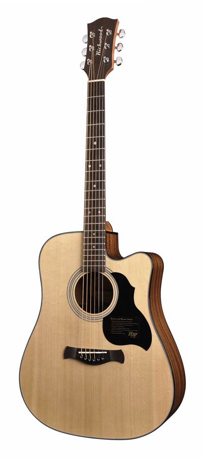 Richwood D-40CE