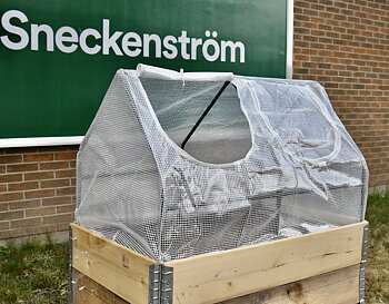 Pallkrageväxthus med armerat vitt plastöverdrag 