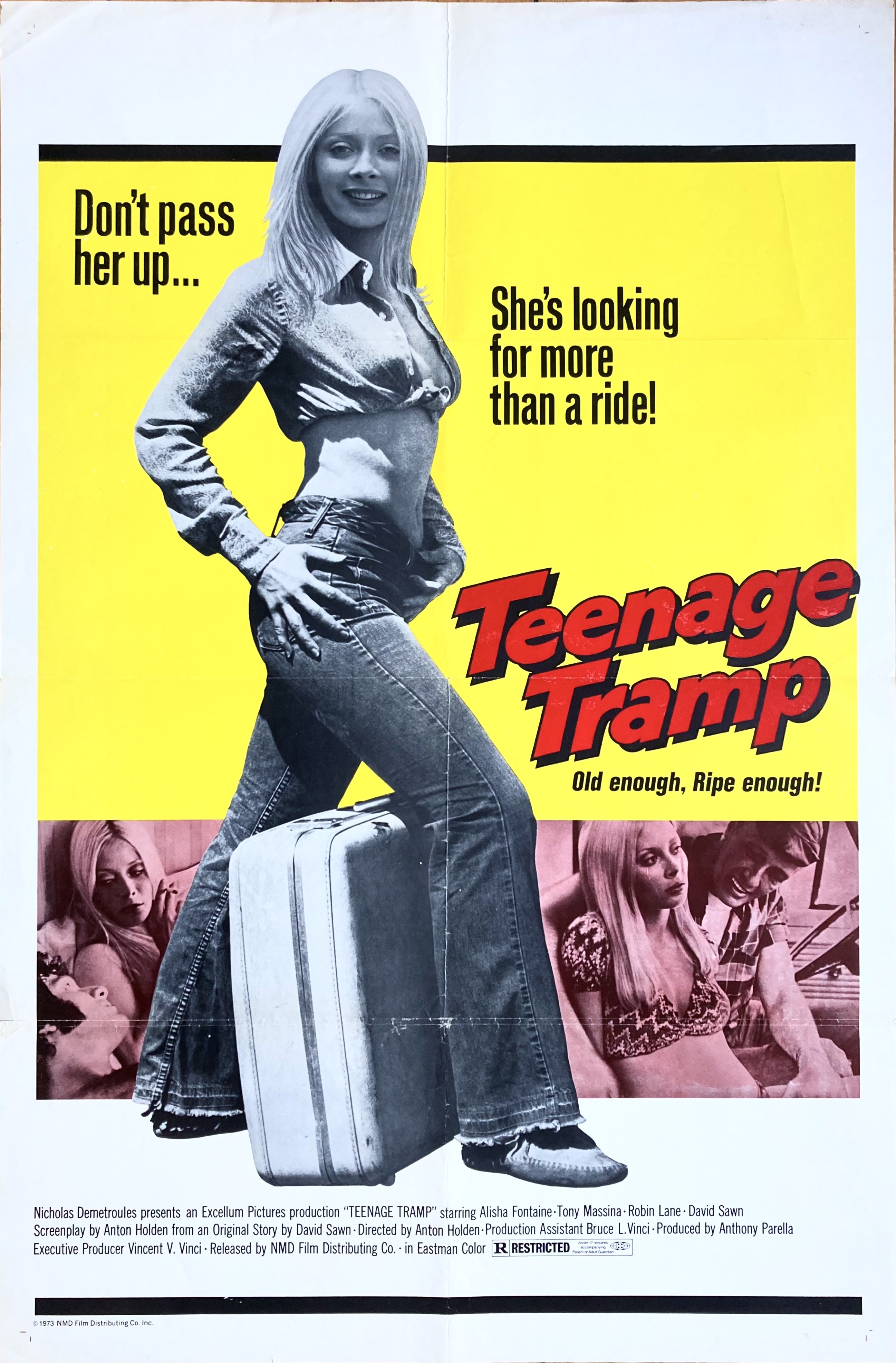 TEENAGE TRAMP (1973)