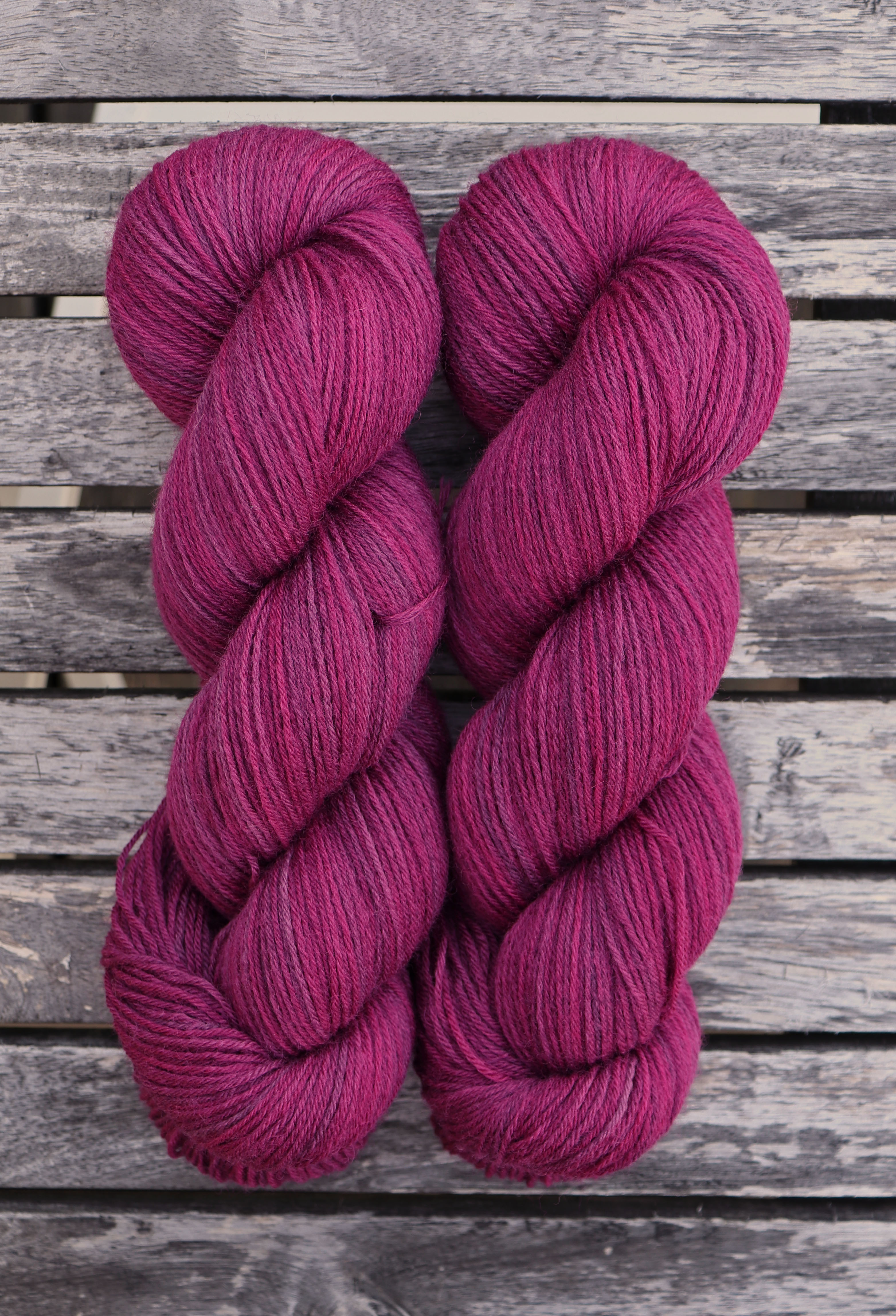 Aronia