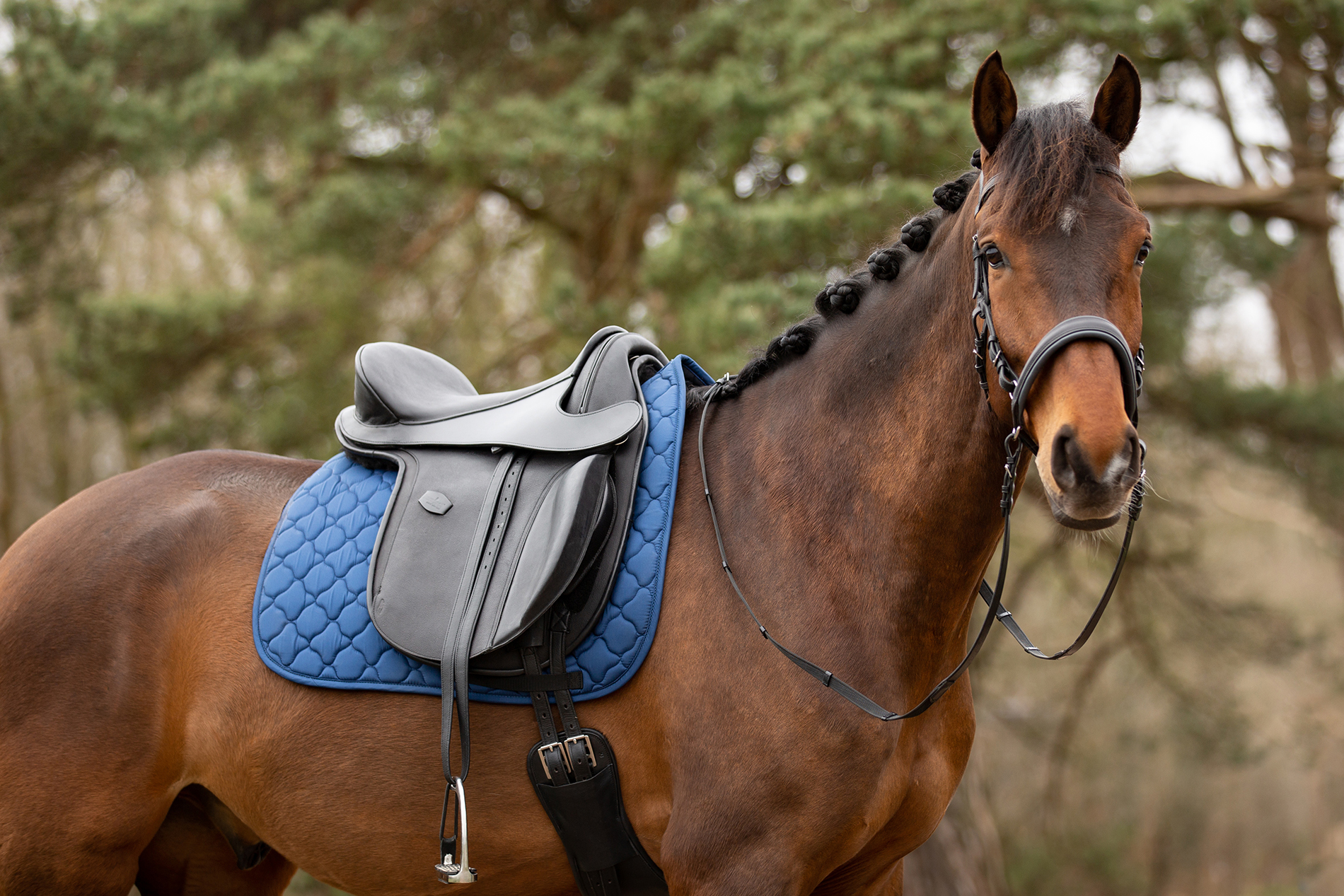Barefoot® Lexington PRO (Narrow seat!) - 3